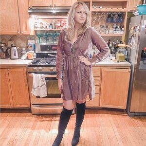 Anthropology | Holding Horses Mauve Velvet Dress